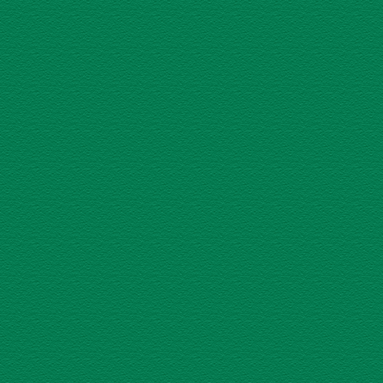 iPad Pro 11” (M4, 2024) LUXURIA VERONESE Green Textured Skin